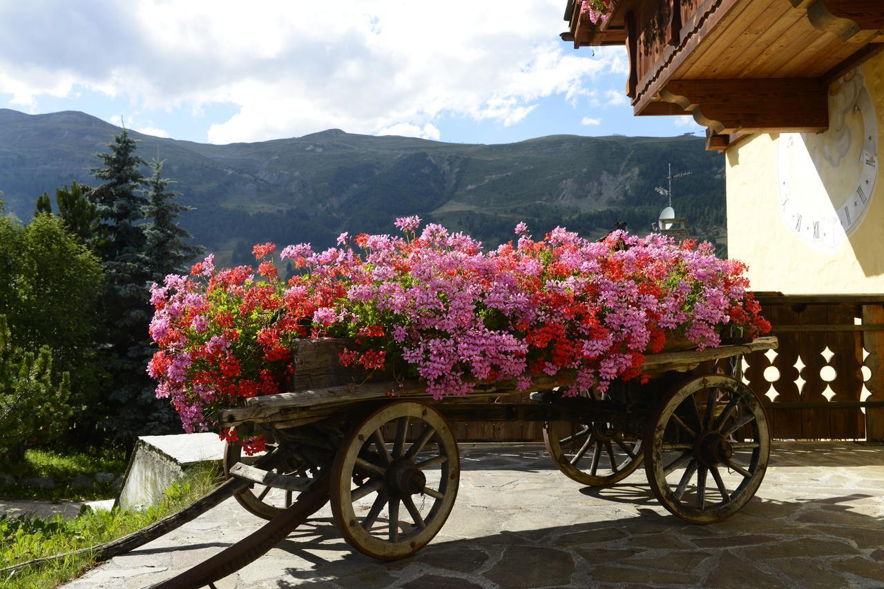 Aparthotel Chalet Garden Livigno Zewnętrze zdjęcie